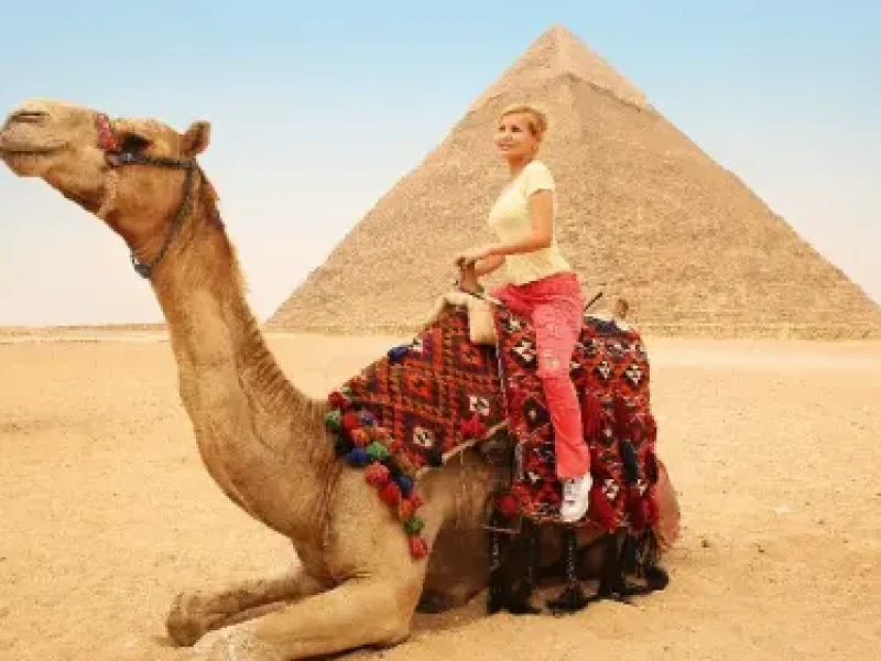 Trip of Cairo